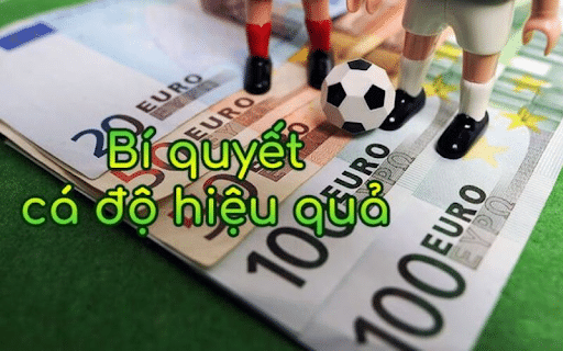 Kinh nghiệm cá cược bóng đá.!