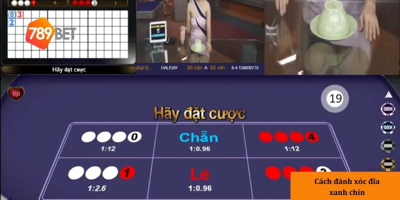 Hướng dẫn cách đánh xóc đĩa xanh chín chuẩn xác từ chuyên gia 3 3 loại cược phổ biến trong xóc đĩa