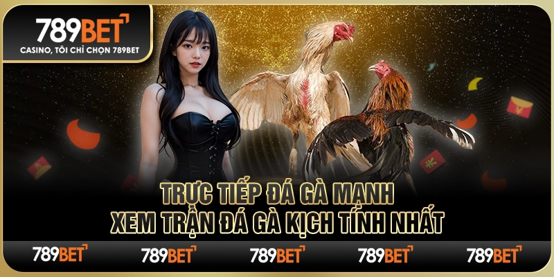 Trực Tiếp Đá Gà Mạnh – Xem Trận Đá Gà Kịch Tính Nhất