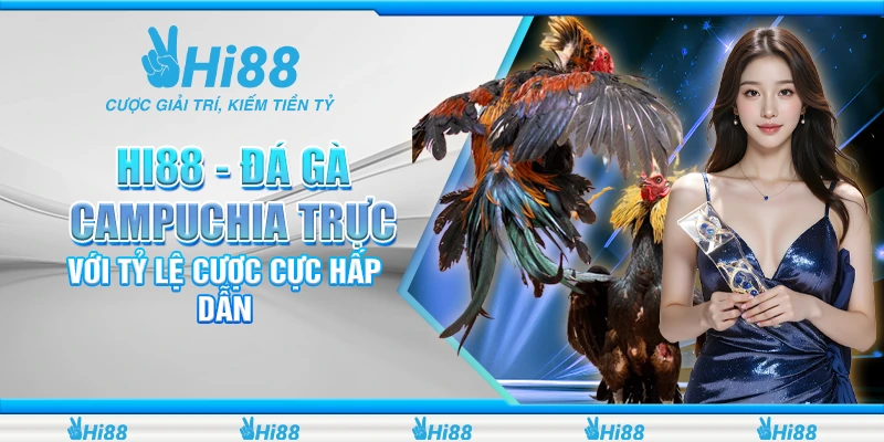 3 hi88 da ga campuchia truc tuyen voi ty le cuoc cuc hap dan