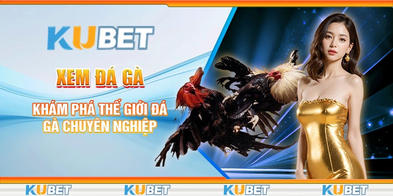 Kubet Xem Đá Gà - Khám Phá Thế Giới Đá Gà Chuyên Nghiệp