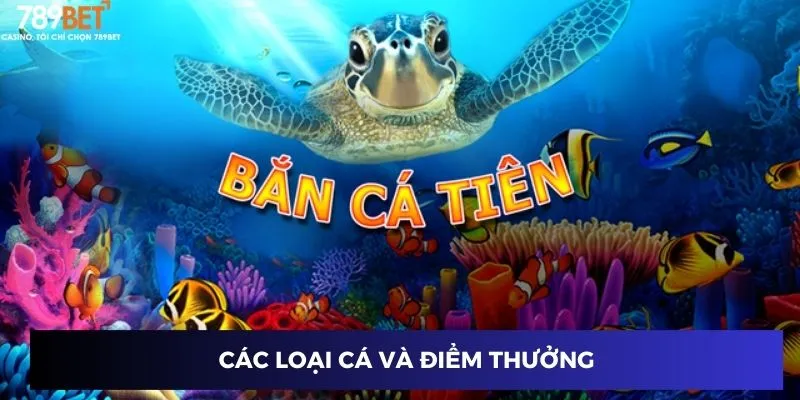 Bắn Cá Tiên - Trò Chơi Giải Trí Đỉnh Cao, Thách Thức Kỹ Năng 2 Các loại cá và điểm thưởng