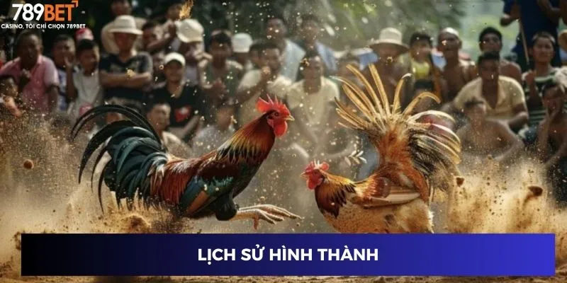 Đá Gà Cựa Sắt Thomo: Bí Kíp Chọn Chiến Kê Bất Bại 2024 2 Lịch sử hình thành