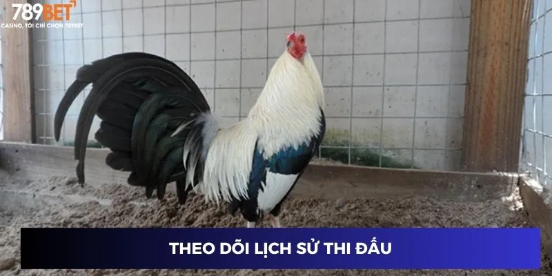 Đá Gà Tre 789BET – Trải Nghiệm Cực Hấp Dẫn Và Kịch Tính 4 Theo dõi lịch sử thi đấu