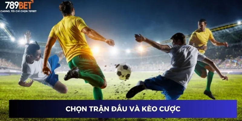 Đặt cược bóng đá Nam Mỹ Cúp Sudamericana dễ thắng lớn 2 Chọn trận đấu và kèo cược