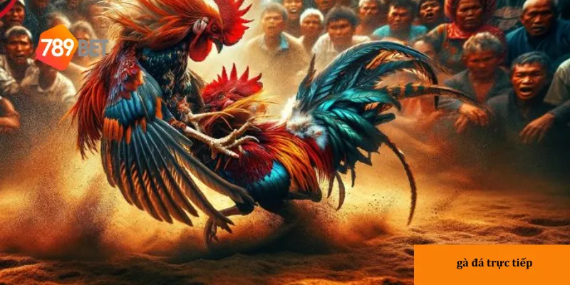 Gà đá trực tiếp hôm nay: Xem đấu kịch tính, cơ hội thắng cược 3 Tìm hiểu cách theo dõi gà đá hiệu quả để có trải nghiệm tốt nhất.