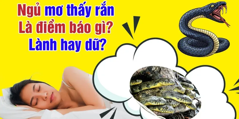 Kubet - Nằm Mơ Thấy Rắn, Giải Mã Giấc Mơ Thần Bí Hiện Nay 2 KuBet giải đáp giấc mơ thấy rắn