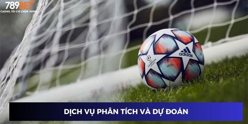 Tin tức bóng đá châu Á: Điểm nhấn vòng loại World Cup mới 3 Dịch vụ phân tích và dự đoán