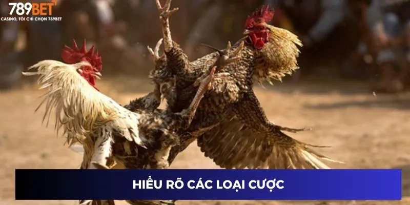 Hiểu rõ các loại cược