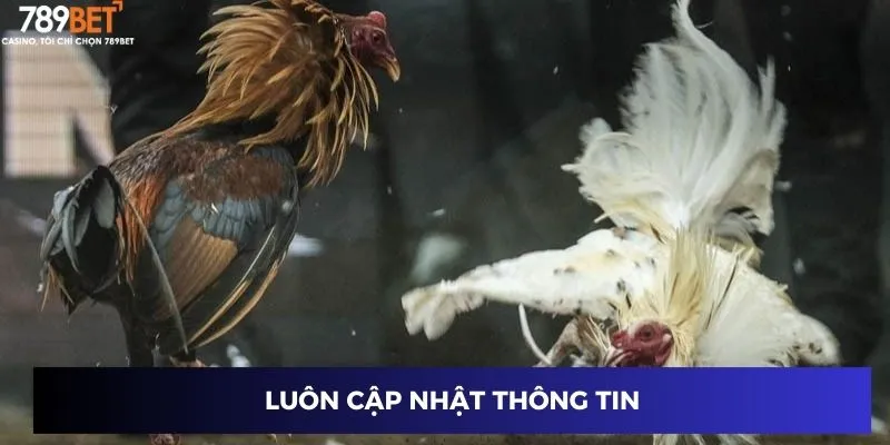 Luôn cập nhật thông tin