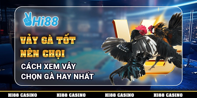 Vảy Gà Tốt Nên Chọi - Cách Xem Vảy Chọn Gà Hay Nhất