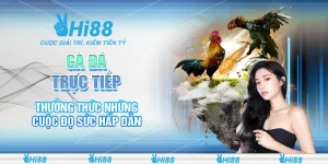 18 ga da truc tiep – thuong thuc nhung cuoc do suc hap dan