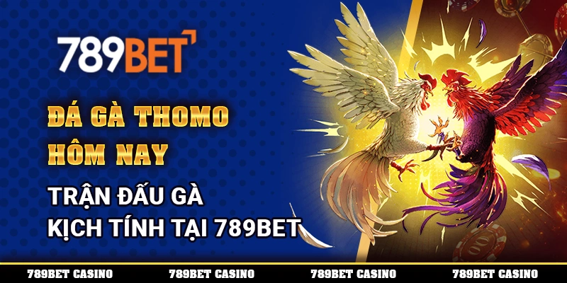 Đá Gà Tho Mo Hôm Nay – Trận Đấu Gà Kịch Tính Tại 789BET