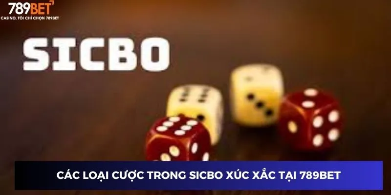Sicbo Xúc Xắc - Đỉnh Cao Trò Chơi May Mắn Tại 789BET 3 Các loại cược trong Sicbo xúc xắc tại 789BET