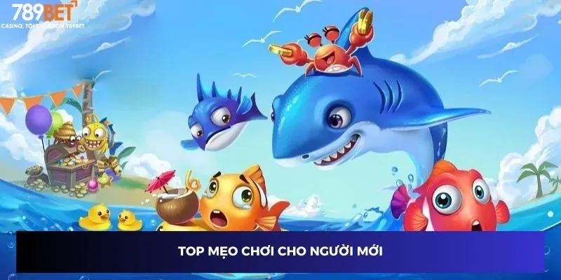 Bắn Cá Xu Vàng 777 - Bí Kíp Tăng Xu Không Thể Bỏ Lỡ 4 Top mẹo chơi cho người mới