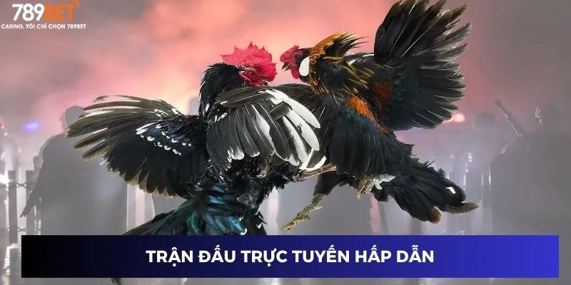 Đá Gà Hàng Xáo – Mẹo Vàng Chinh Phục Thắng Lớn 789BET 2 Trận đấu trực tuyến hấp dẫn