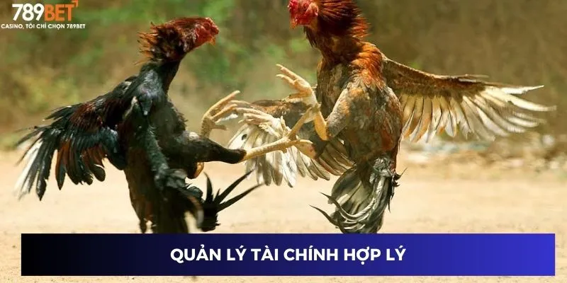 Đá Gà Hàng Xáo – Mẹo Vàng Chinh Phục Thắng Lớn 789BET 4 Quản lý tài chính hợp lý