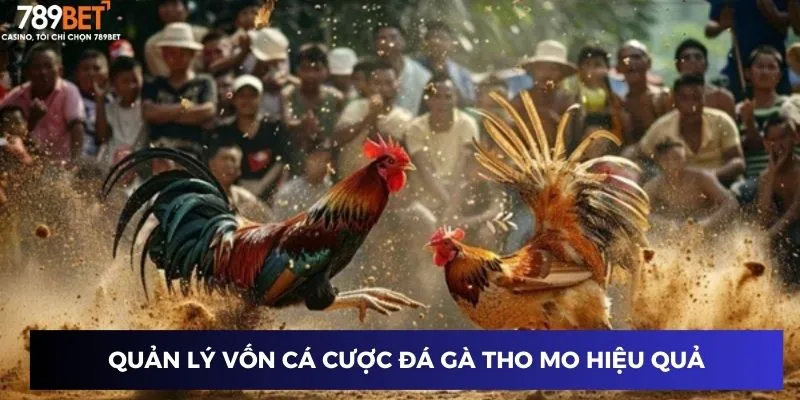 Đá Gà Tho Mo Hôm Nay – Trận Đấu Gà Kịch Tính Tại 789BET 4 Quản lý vốn cá cược đá gà tho mo hiệu quả