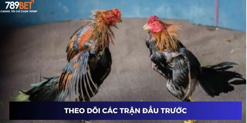 Đá Gà Thomo Trực Tiếp - Khám Phá Đỉnh Cao Của Môn Giải Trí Độc Đáo 4 Theo dõi các trận đấu trước