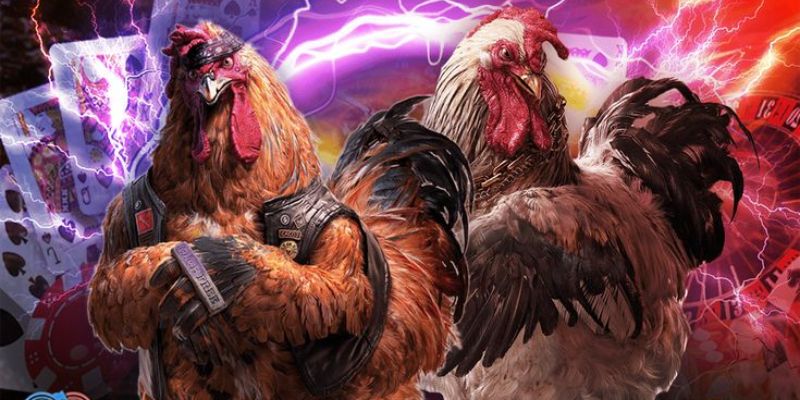 Ưu điểm khi tham gia trò chơi tại nhà cái