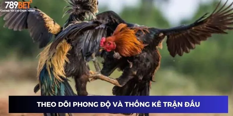 Đá Gà Trực Tiếp Campuchia - Trải Nghiệm Đỉnh Cao Chưa Từng Có 4 Theo dõi phong độ và thống kê trận đấu