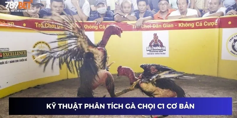 Gà Chọi C1 Thomo - Lối Chơi Bùng Nổ Thắng Lớn Cùng 789BET 3 Kỹ thuật phân tích gà chọi C1 cơ bản