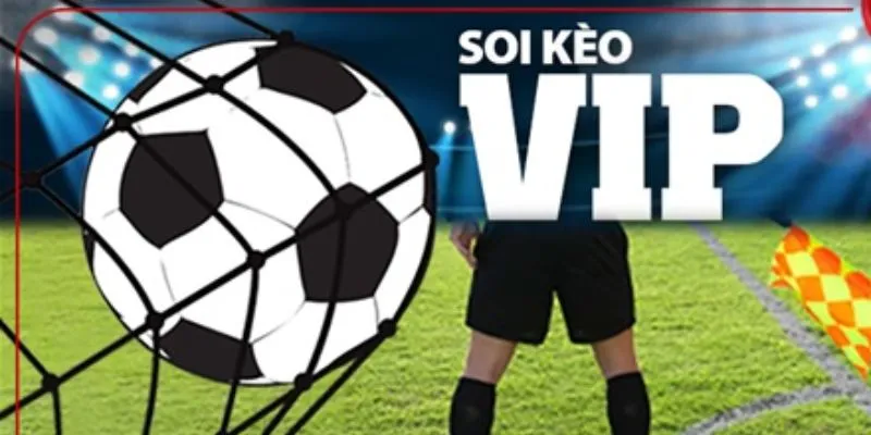 Lợi ích soi kèo bóng đá nhà cái