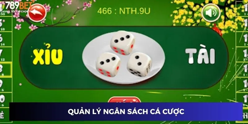 Tài Xỉu Đăng Ký Nhận 50K - Ưu Đãi Siêu Hấp Dẫn Từ 789BET 3 Quản lý ngân sách cá cược