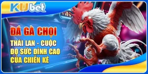đá gà chọi thái lan