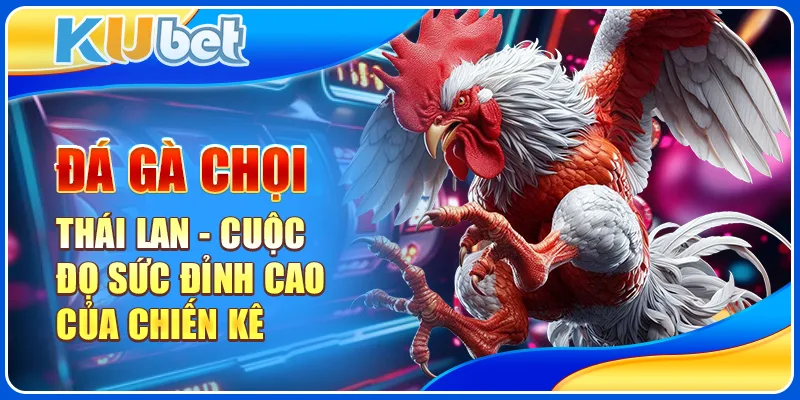 đá gà chọi thái lan