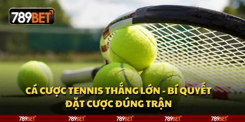 Cá cược tennis thắng lớn - Bí quyết đặt cược đúng trận