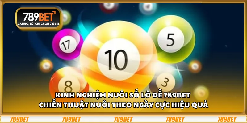 Kinh nghiệm nuôi số lô đề 789Bet - Chiến thuật nuôi theo ngày cực hiệu quả